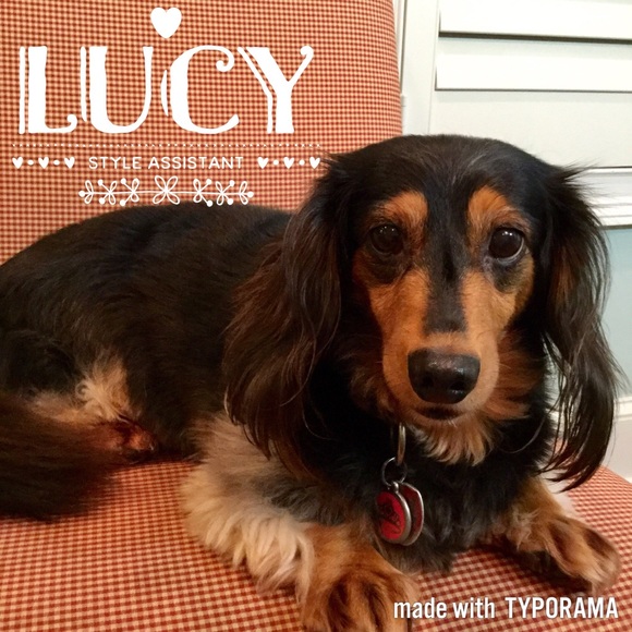 Meet your Posher, Kathy with helpers, Lucy & Macon - Picture 2 of 5